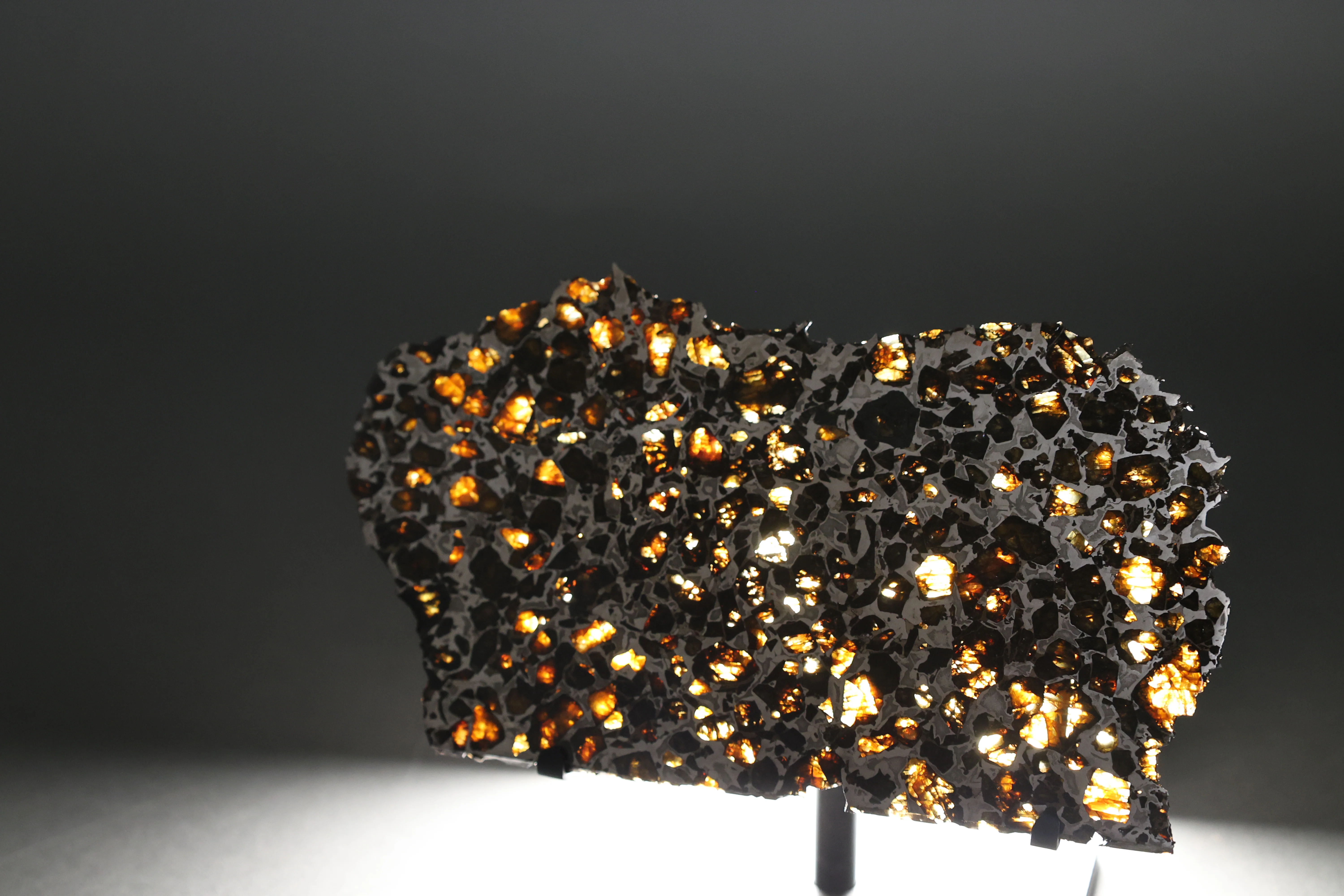 Brahin Pallasite - 143 grams — ON HOLD - Image 6