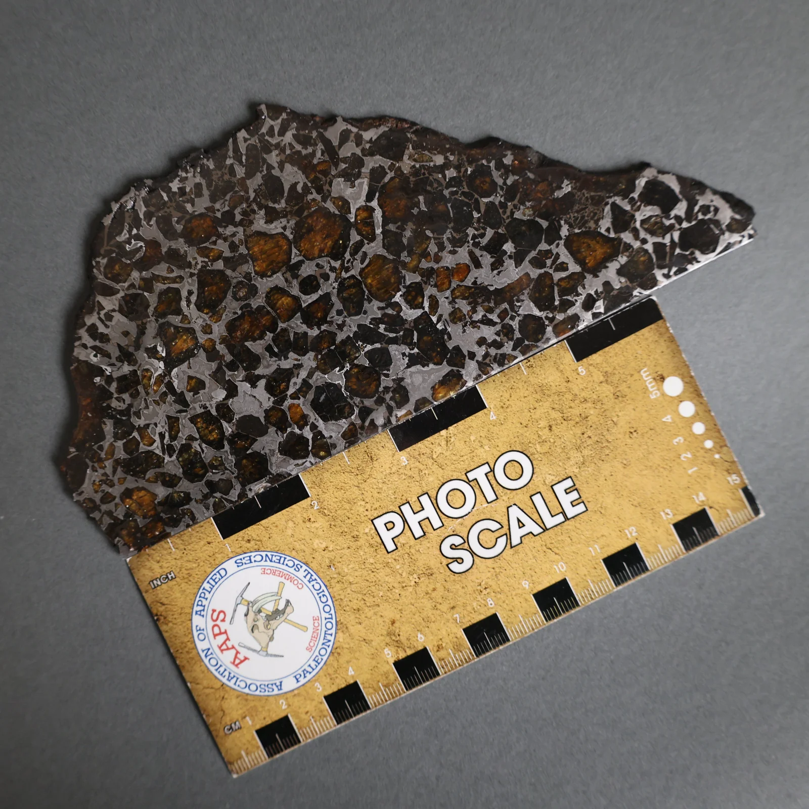 Brahin Pallasite - 152 grams - Image 4