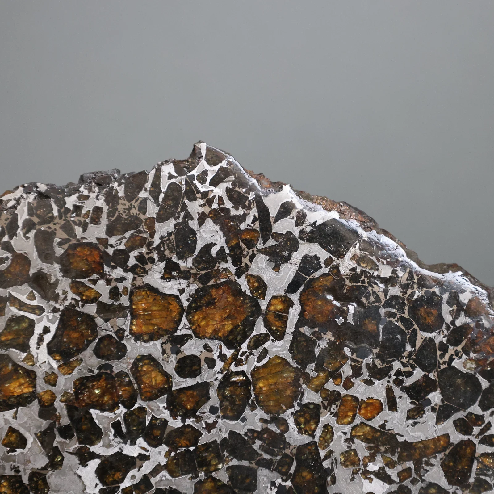 Brahin Pallasite - 152 grams - Image 5