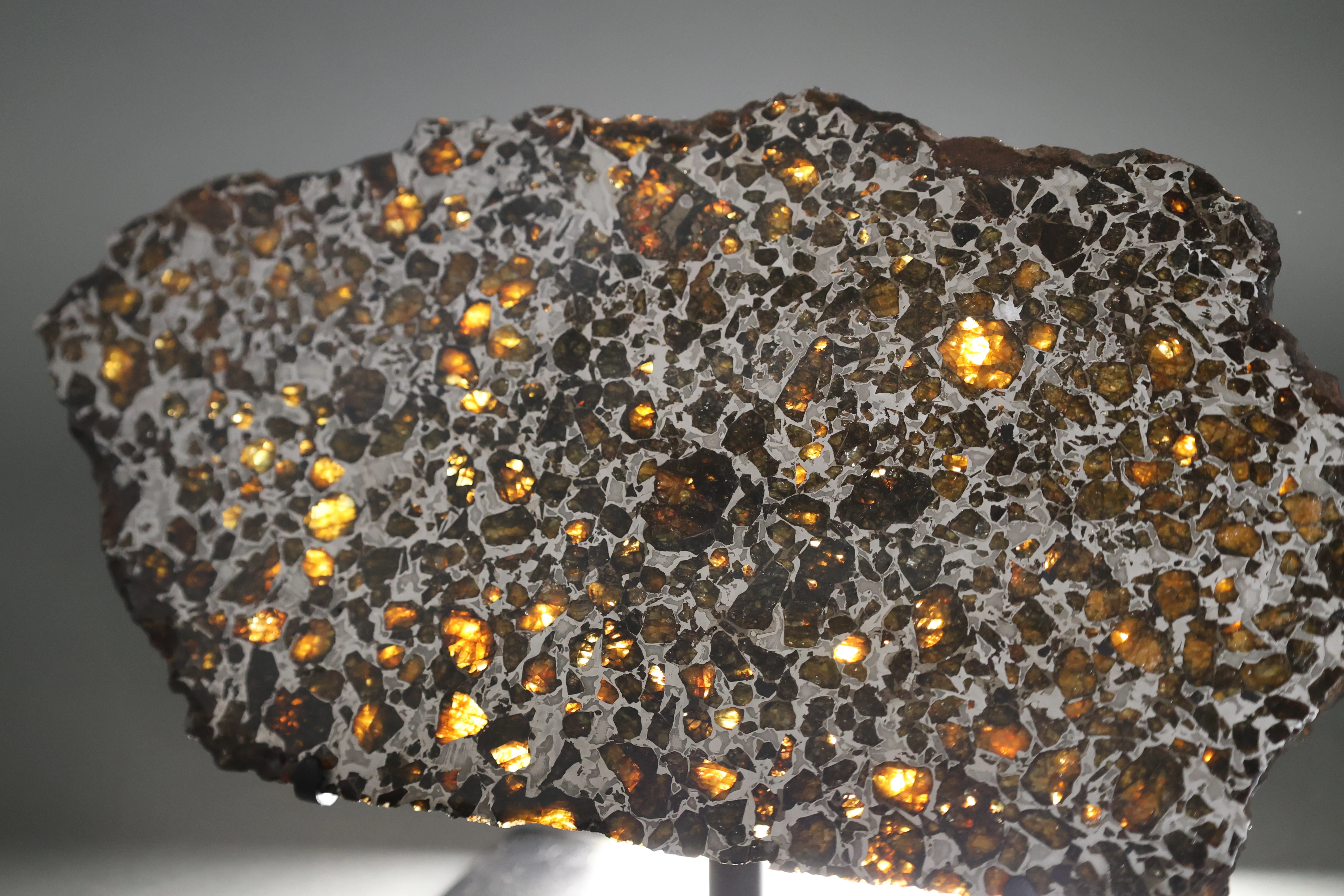 Brahin Pallasite - 509 grams - Image 3