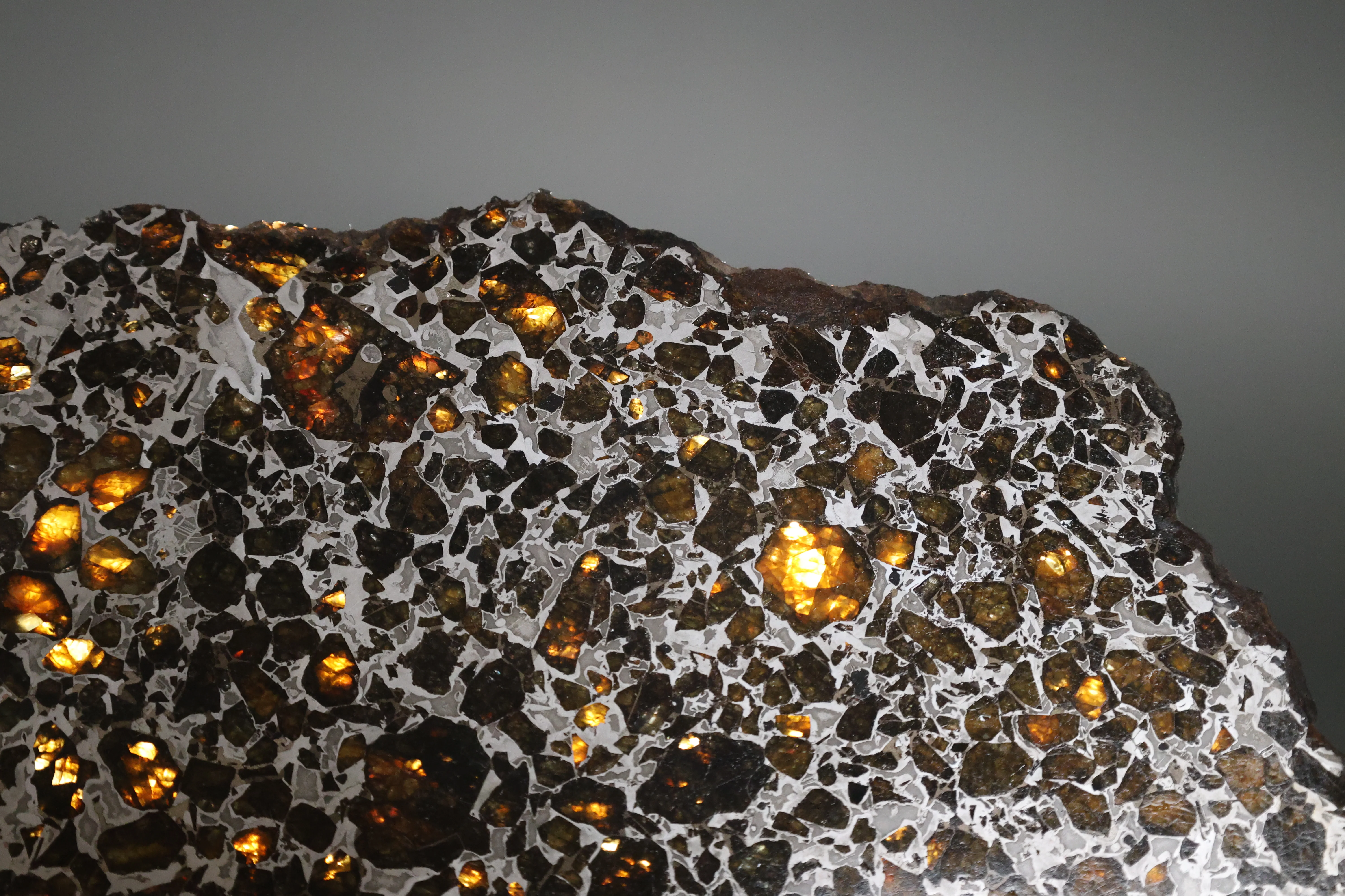 Brahin Pallasite - 509 grams - Image 4
