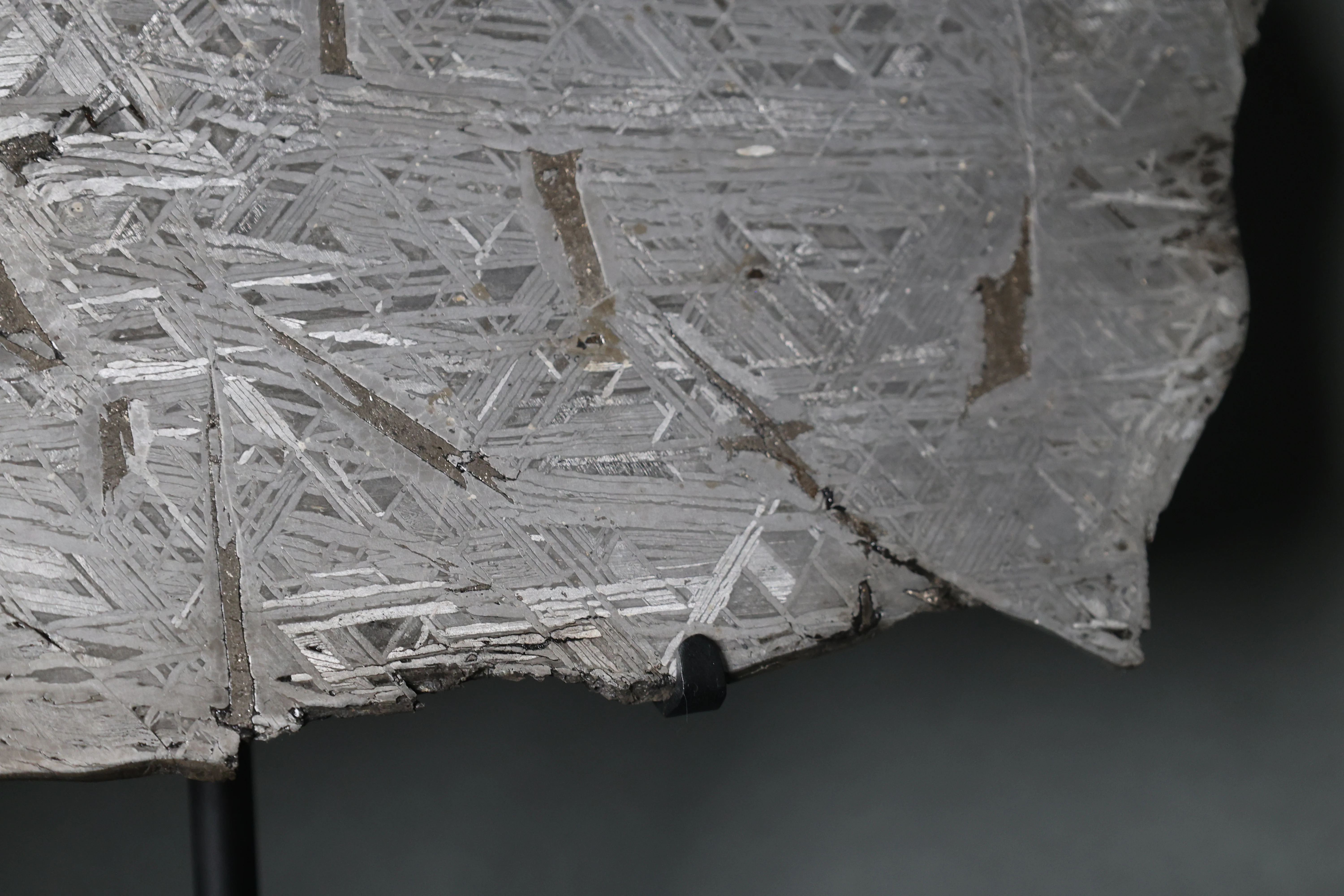 Iron Meteorite Slice, Aletai - 2.95 kg - Image 4