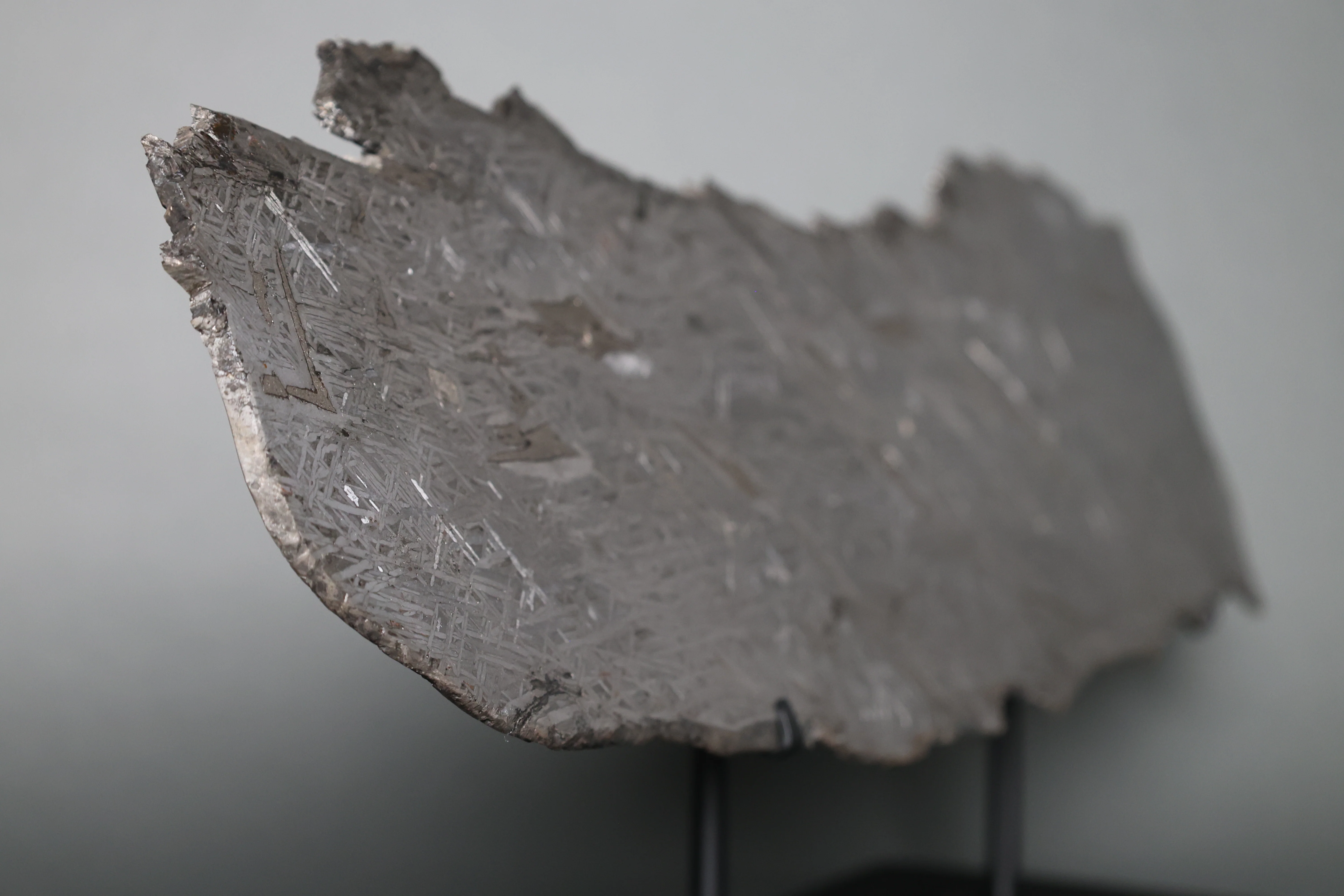 Iron Meteorite Slice, Aletai - 2.95 kg - Image 5
