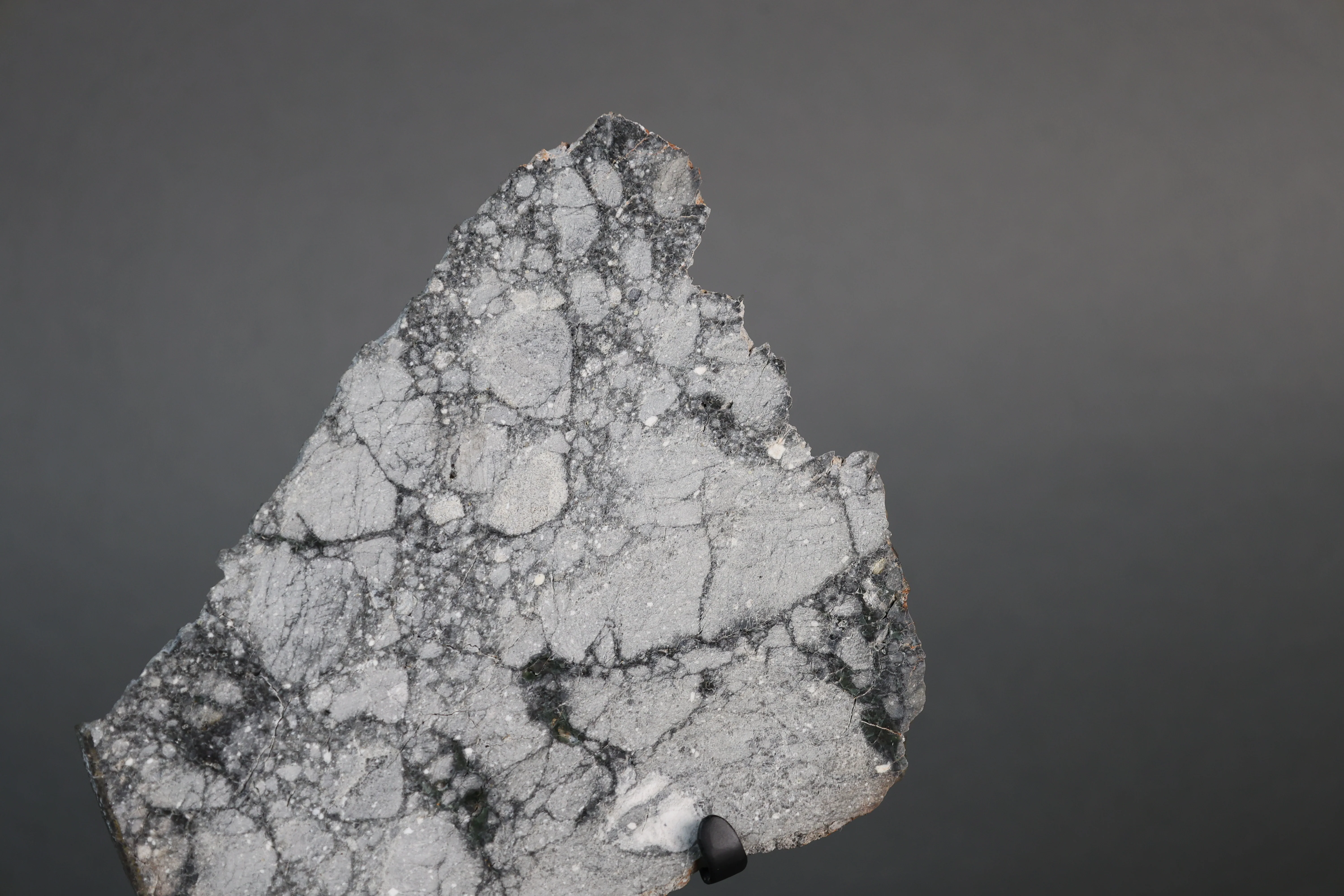 Lunar Meteorite Slice, Gadamis 004 - 119.6 grams - Image 3