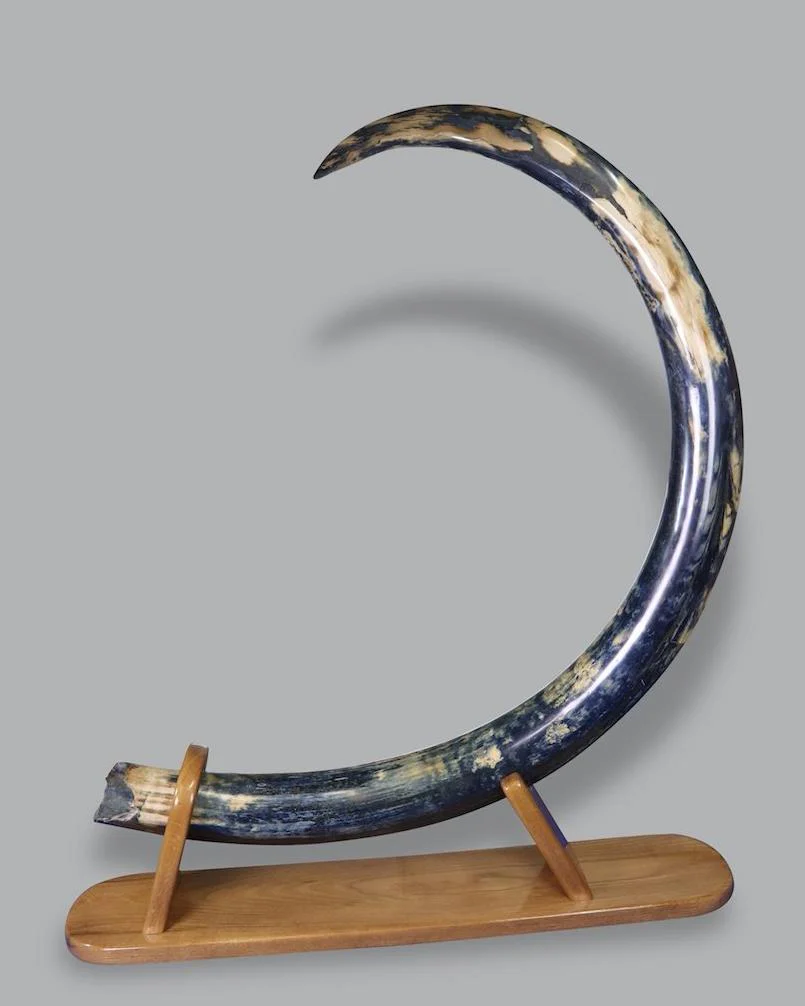 Mammoth Tusk, Alaska, United States - Image 4
