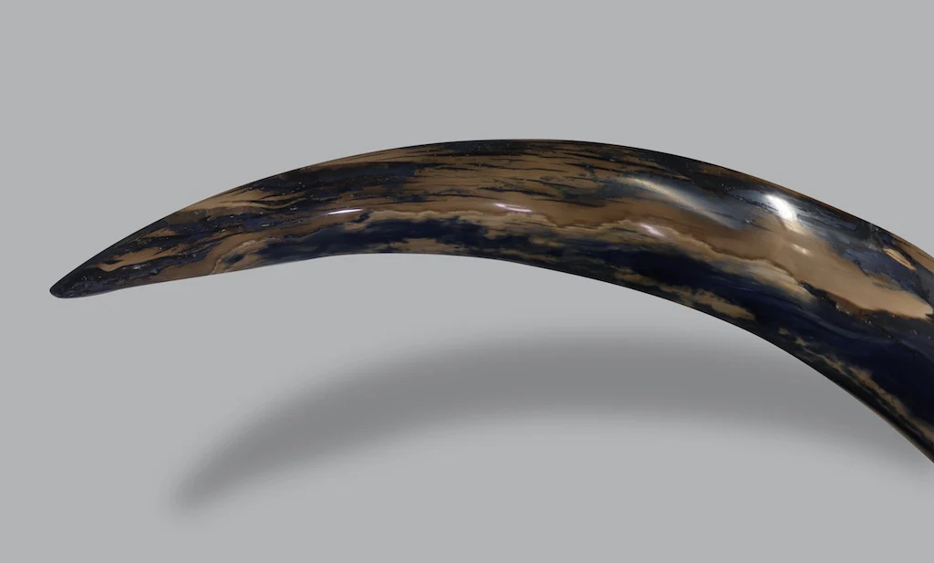 Mammoth Tusk, Alaska, United States - Image 5