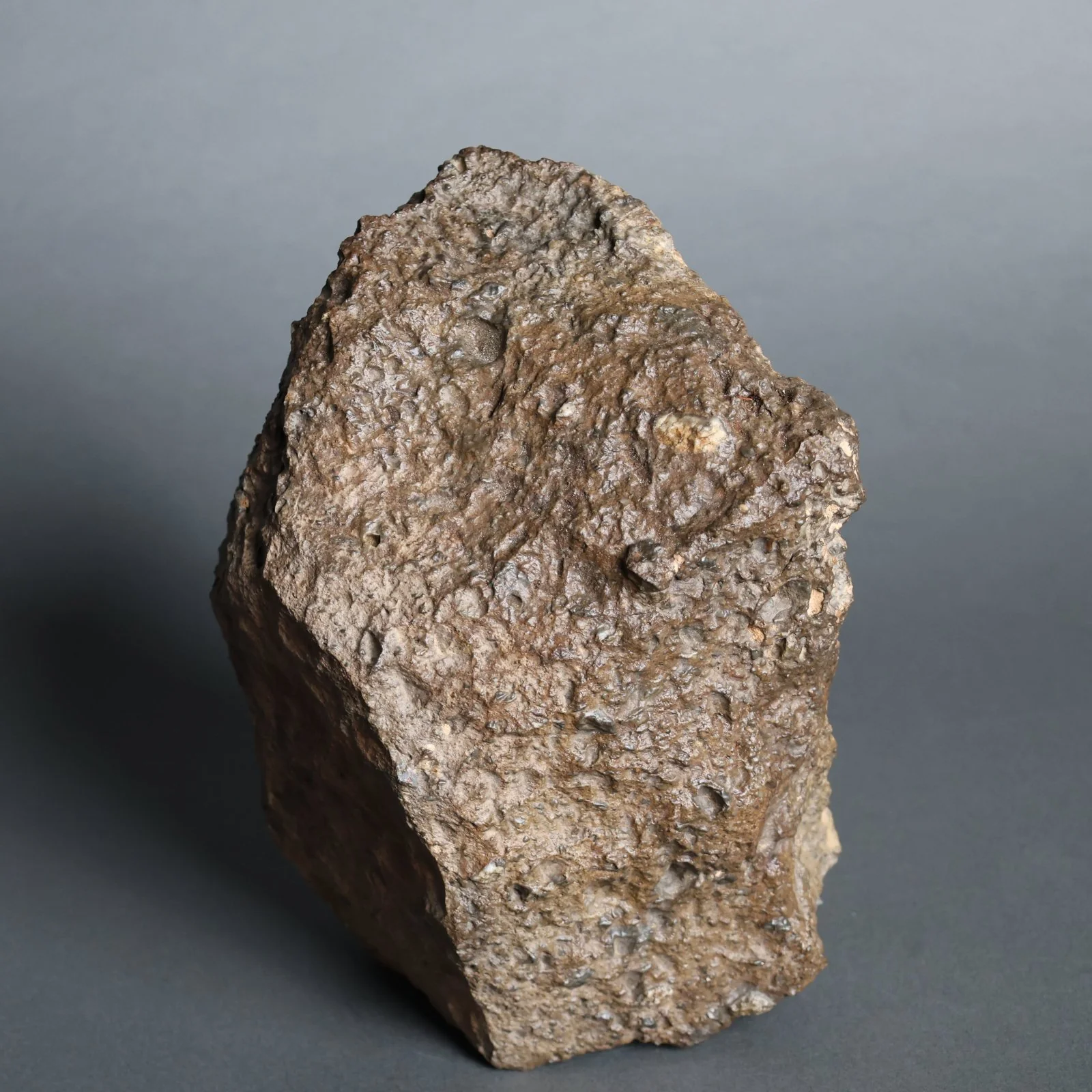 Lunar Meteorite Evidencing  Subsurface Water - 10.8 kg - Image 6