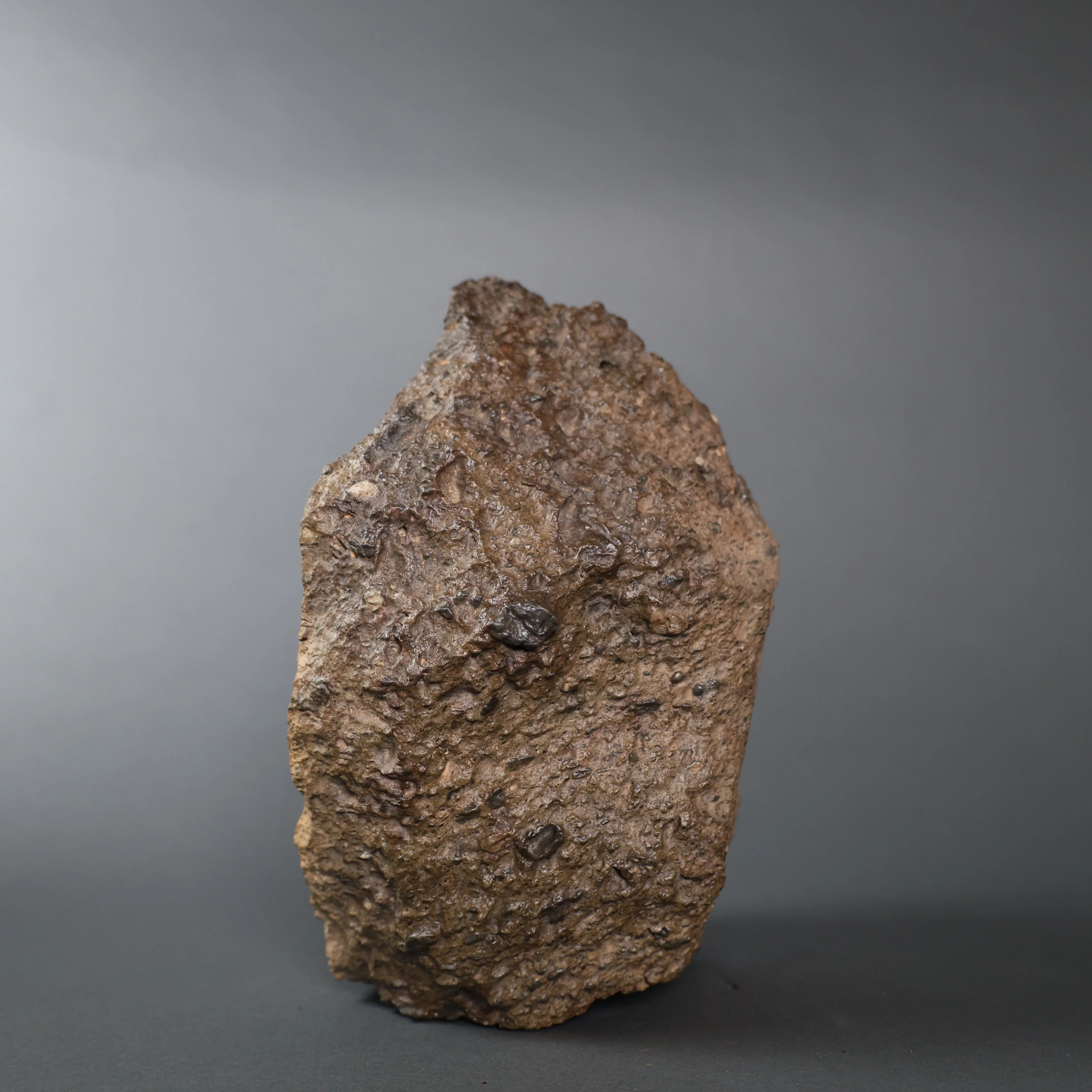 Lunar Meteorite Evidencing  Subsurface Water - 10.8 kg - Image 7