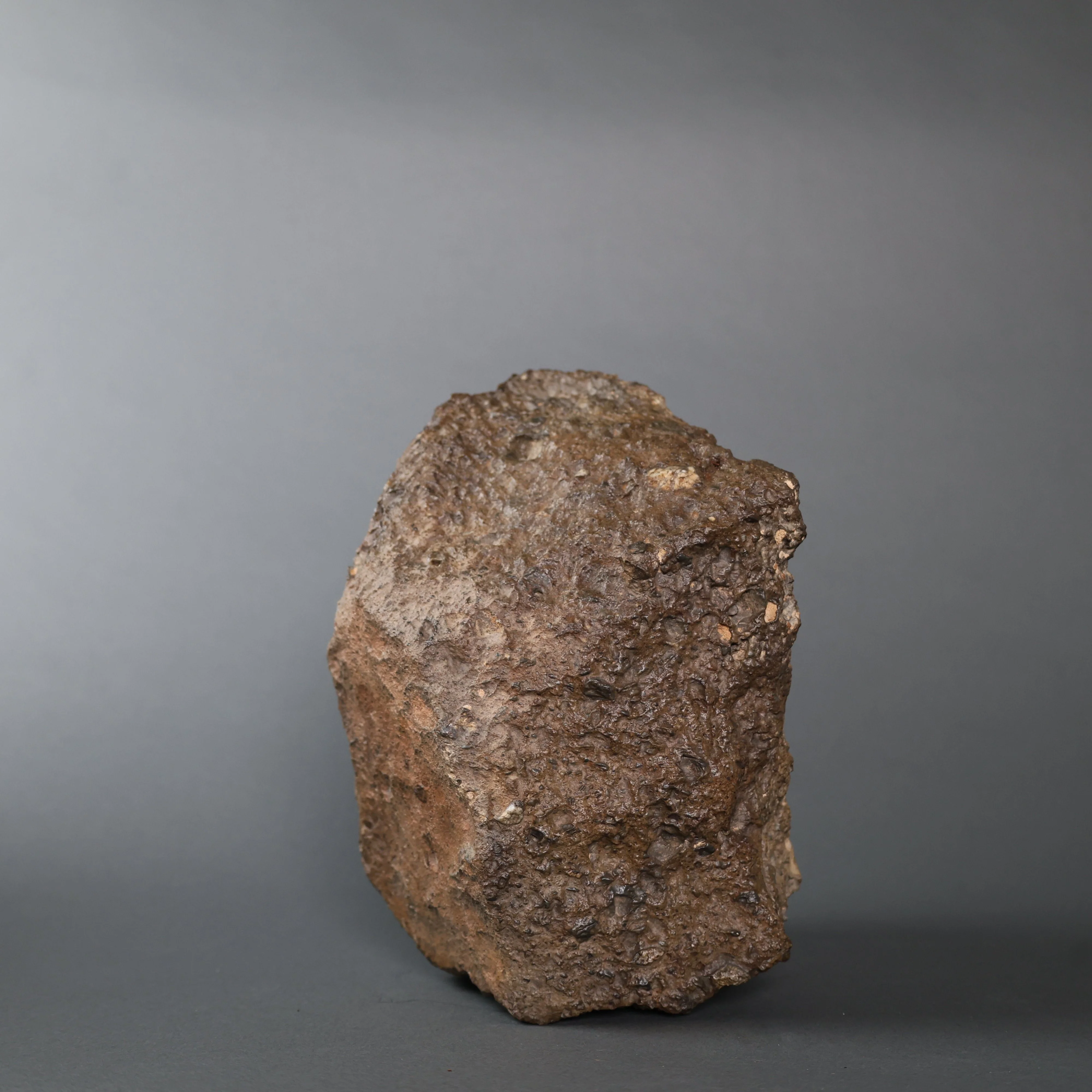 Lunar Meteorite Evidencing  Subsurface Water - 10.8 kg - Image 8