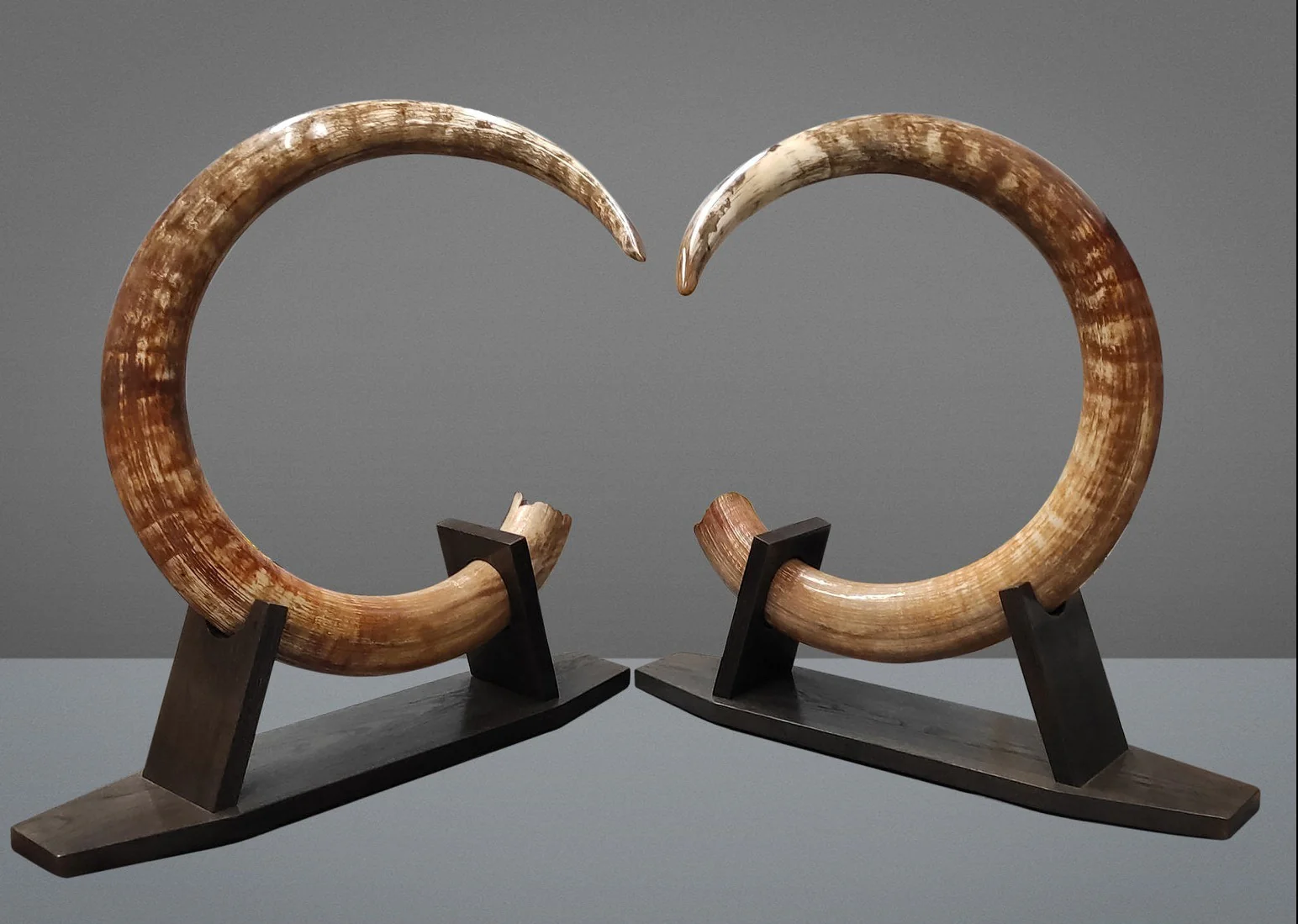 Matched Set of Mammoth Tusks - 9' / 164 lbs - Image 3