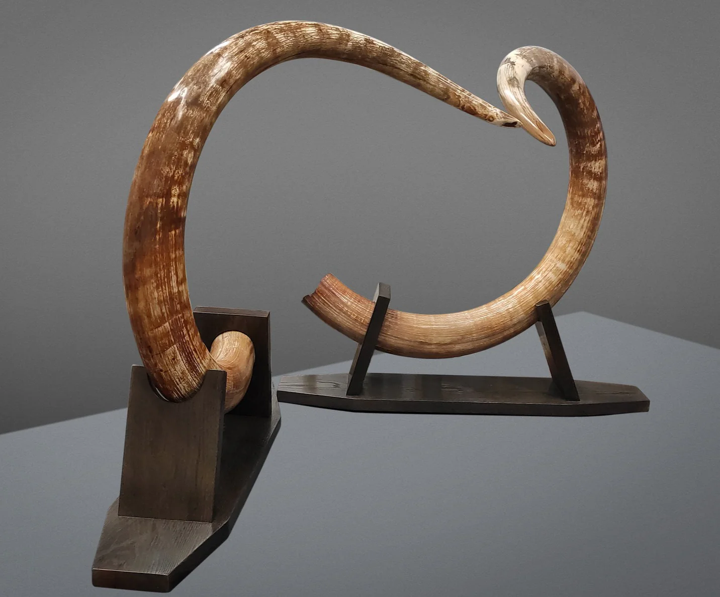 Matched Set of Mammoth Tusks - 9' / 164 lbs - Image 8