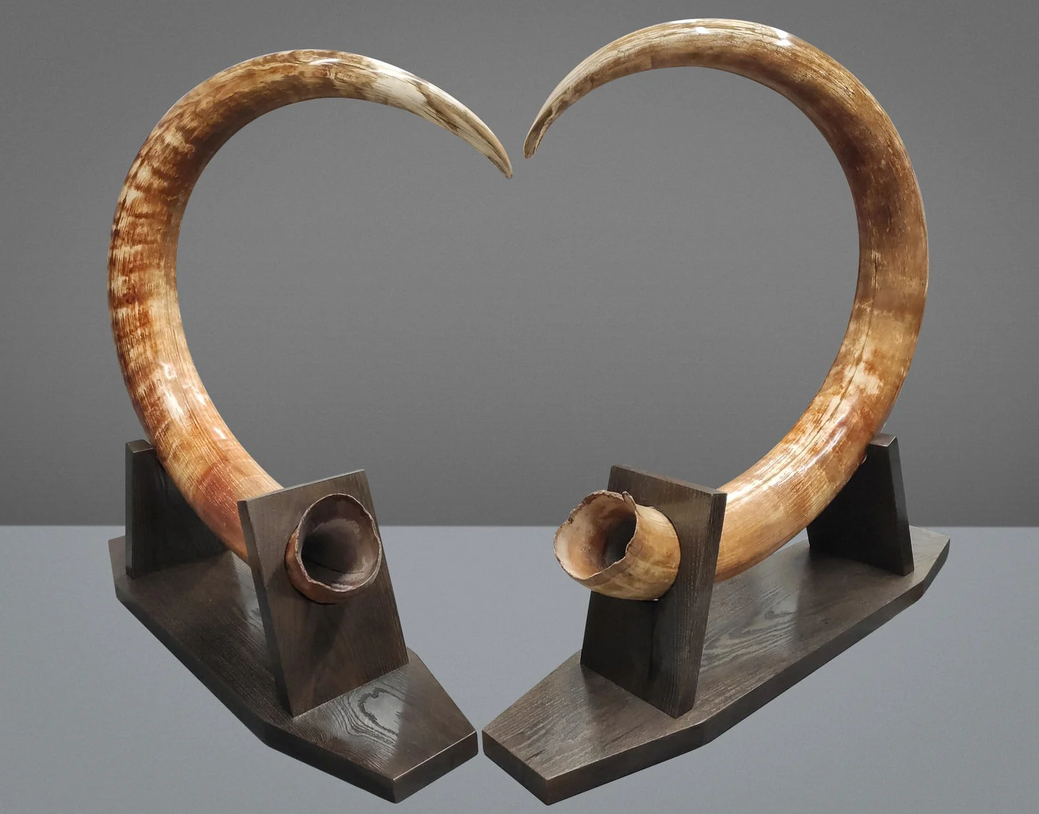 Matched Set of Mammoth Tusks - 9' / 164 lbs - Image 9
