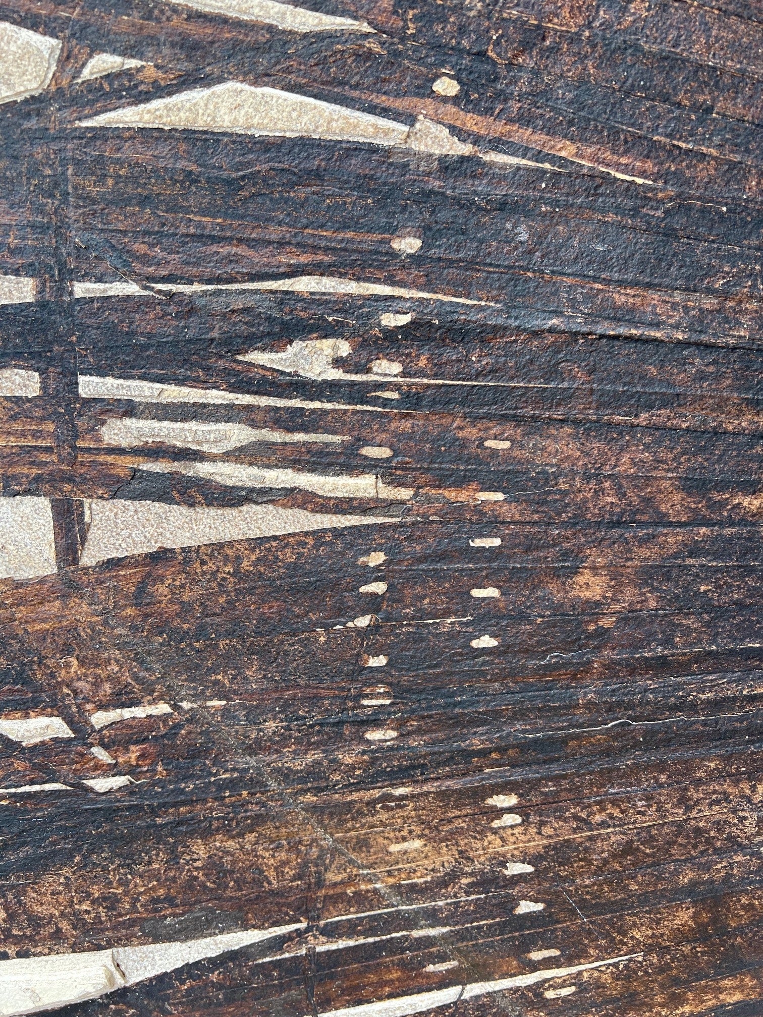 VS #1 - Monumental Fossil Palm Frond, 9’ x 4.5’ - Image 4