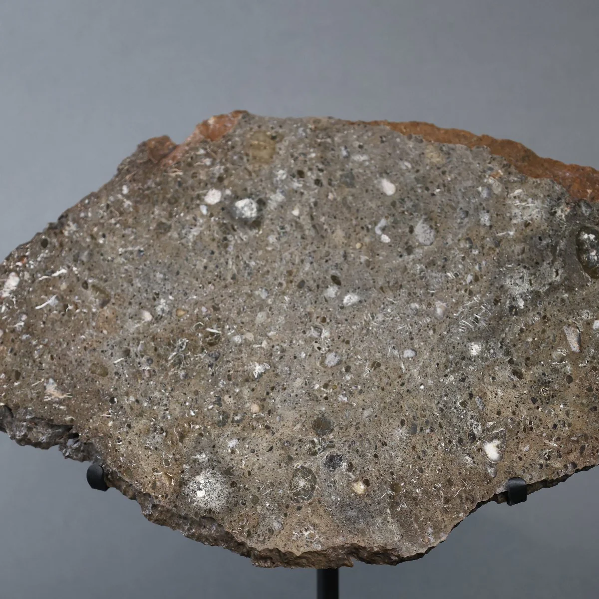 Large Lunar Meteorite - Oued El Hamim 001 - 884 grams - Image 4