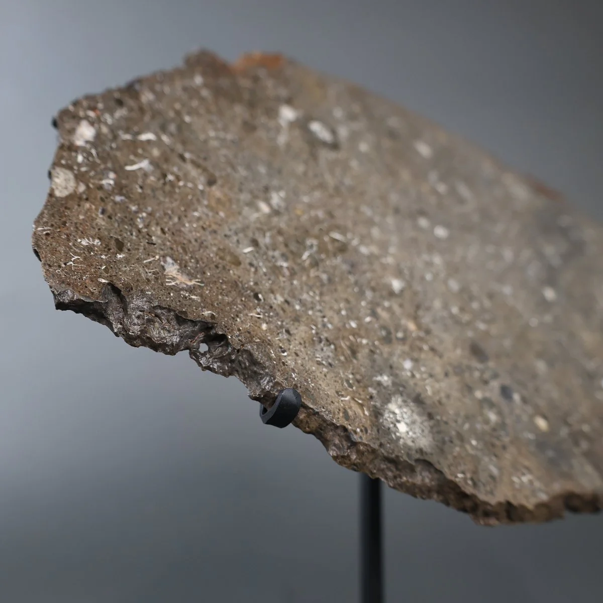 Large Lunar Meteorite - Oued El Hamim 001 - 884 grams - Image 9