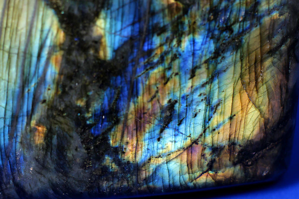 8.3” Polished Labradorite (Madagascar) - Image 3