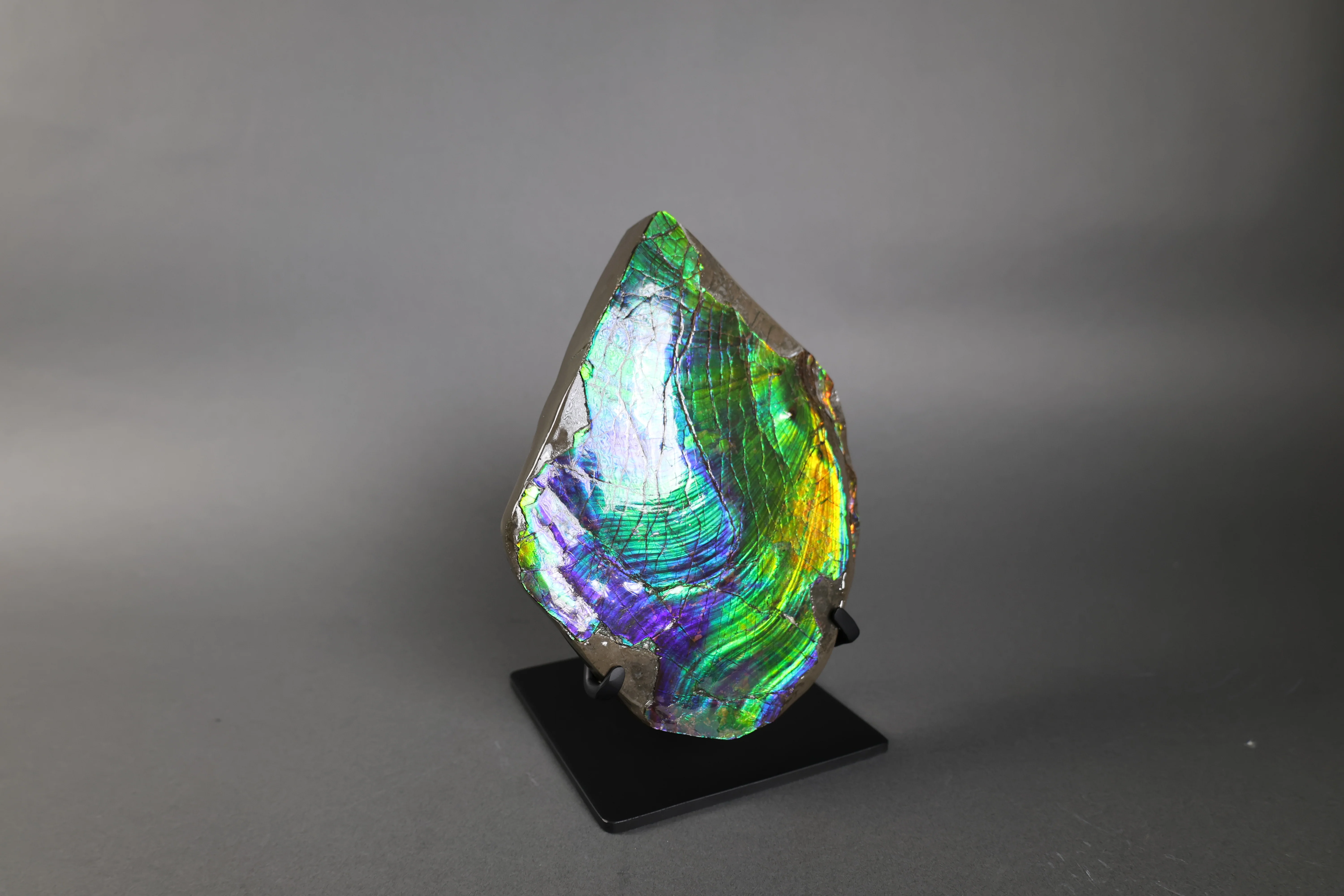Ammolite Piece with Vibrant Blue - 9.5” - Image 6