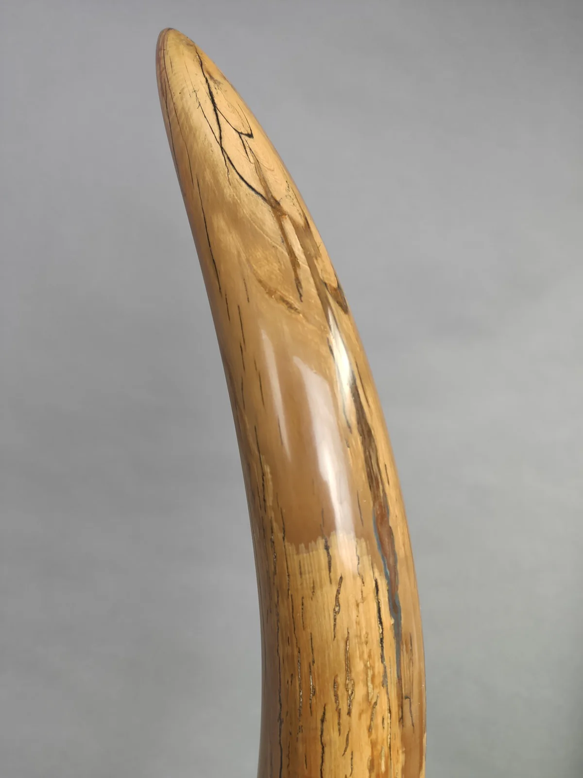Woolly Mammoth Tusk - 69.5” - Image 5