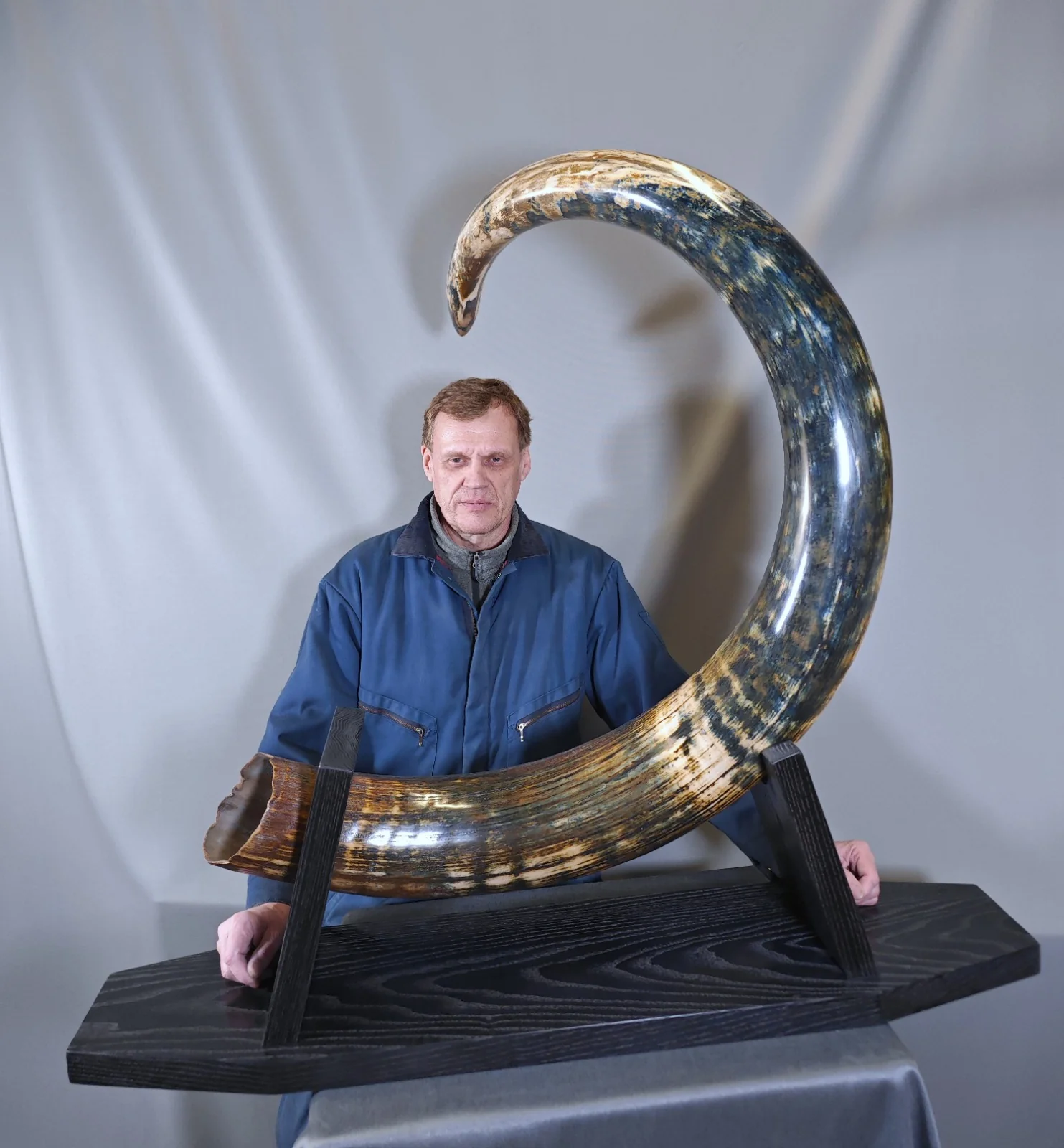Woolly Mammoth Tusk with Blue Patina — 8' 3'' long - Image 8