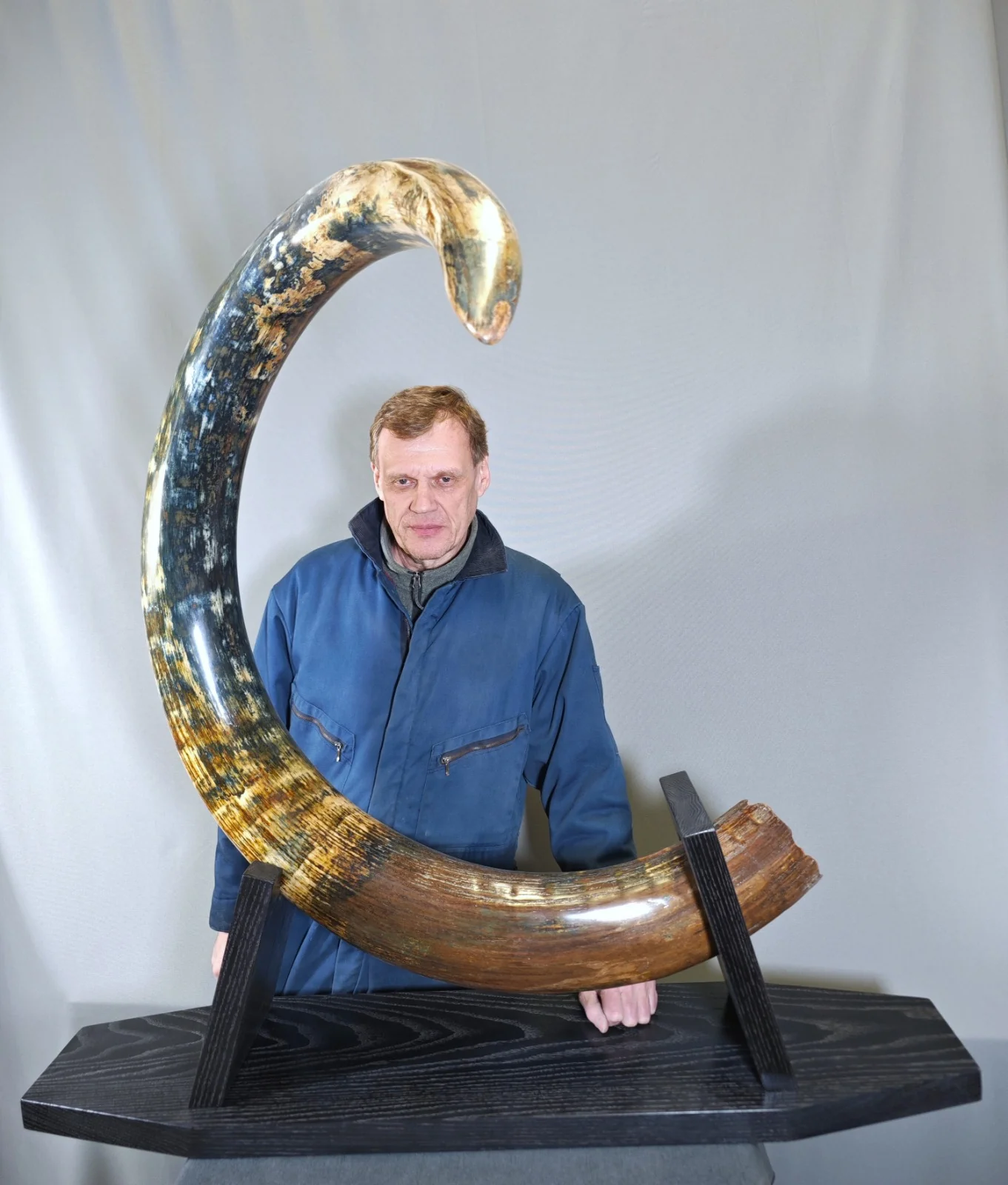 Woolly Mammoth Tusk with Blue Patina — 8' 3'' long - Image 9